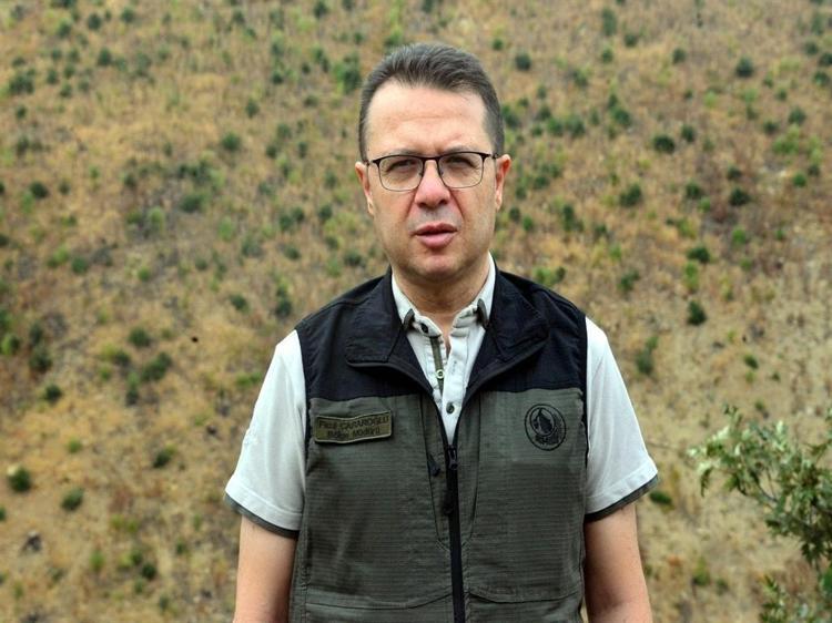 Şakalaşma sırasında atılan torpille yanan alan, 27 bin fidanla yeniden ağaçlandırıldı