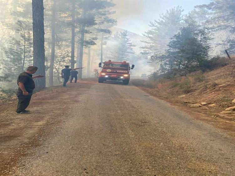 Şakalaşma sırasında atılan torpille yanan alan, 27 bin fidanla yeniden ağaçlandırıldı