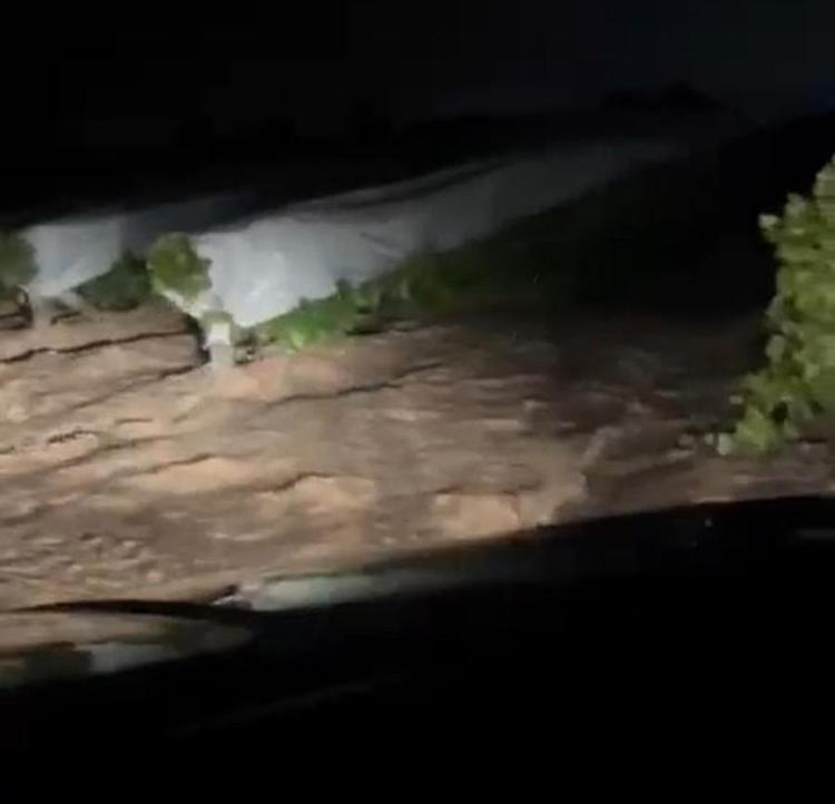 Elazığ’da sağanak sele neden oldu, üzüm bağları su altında kaldı