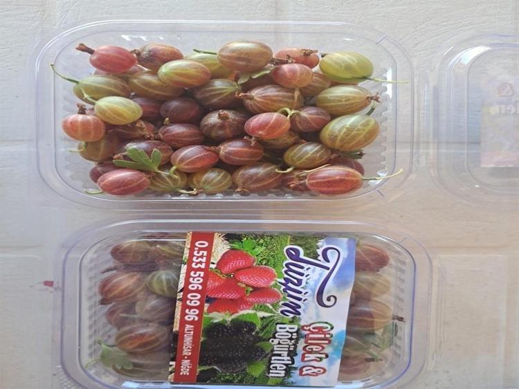 Patatesin başkentinde katma değeri yüksek alternatif ürünlere yöneldi